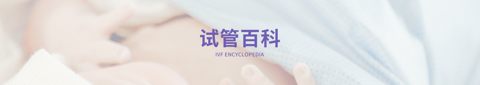 新闻资讯