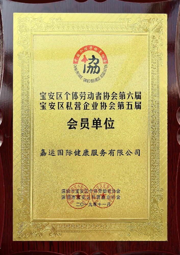 中国个体劳动者协会.jpg